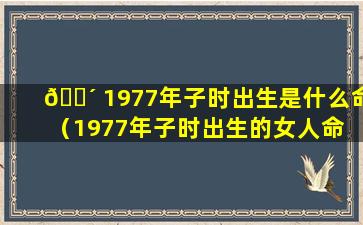 🌴 1977年子时出生是什么命（1977年子时出生的女人命 🌿 运如何）